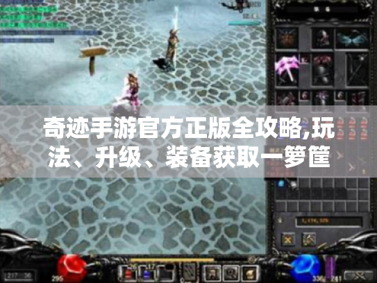 奇迹手游官方正版全攻略,玩法、升级、装备获取一箩筐 奇迹手游官方正版全攻略,玩法、升级、装备获取一箩筐