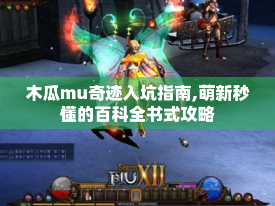 木瓜mu奇迹入坑指南,萌新秒懂的百科全书式攻略 木瓜mu奇迹入坑指南,萌新秒懂的百科全书式攻略