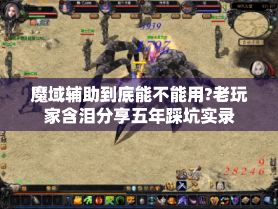 魔域辅助到底能不能用?老玩家含泪分享五年踩坑实录 魔域辅助到底能不能用?老玩家含泪分享五年踩坑实录