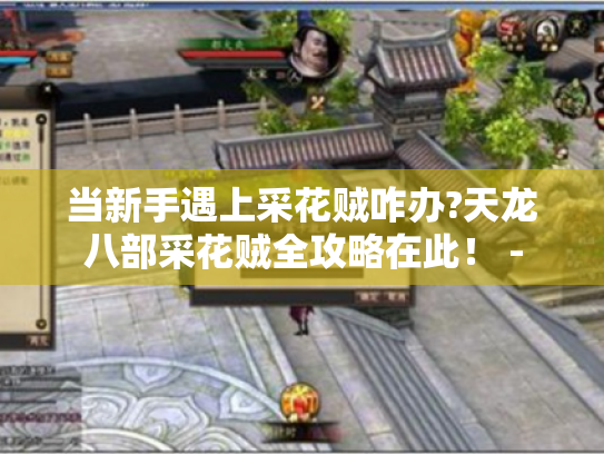 当新手遇上采花贼咋办?天龙八部采花贼全攻略在此! - 当新手遇上采花贼咋办?天龙八部采花贼全攻略在此! -