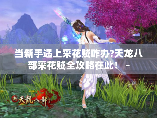 当新手遇上采花贼咋办?天龙八部采花贼全攻略在此! - 当新手遇上采花贼咋办?天龙八部采花贼全攻略在此! -