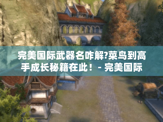 完美国际武器名咋解?菜鸟到高手成长秘籍在此！- 完美国际