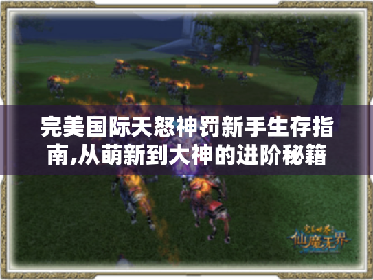 完美国际天怒神罚新手生存指南,从萌新到大神的进阶秘籍 完美国际天怒神罚新手生存指南,从萌新到大神的进阶秘籍