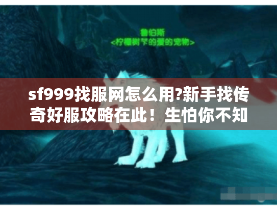 sf999找服网怎么用?新手找传奇好服攻略在此!生怕你不知道😜 - 痛点全解 sf999找服网怎么用?新手找传奇好服攻略在此!生怕你不知道😜 - 痛点全解