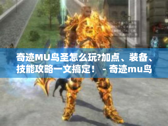 奇迹MU鸟圣怎么玩?加点、装备、技能攻略一文搞定！ - 奇迹mu鸟圣
