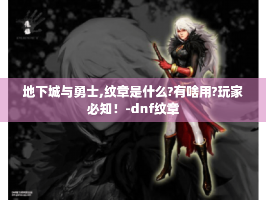 地下城与勇士,纹章是什么?有啥用?玩家必知!-dnf纹章 地下城与勇士,纹章是什么?有啥用?玩家必知!-dnf纹章