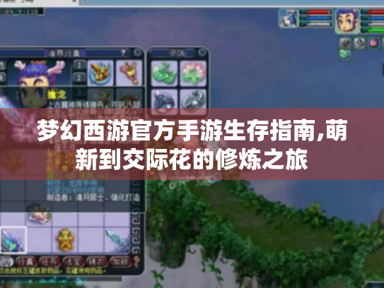 梦幻西游官方手游生存指南,萌新到交际花的修炼之旅