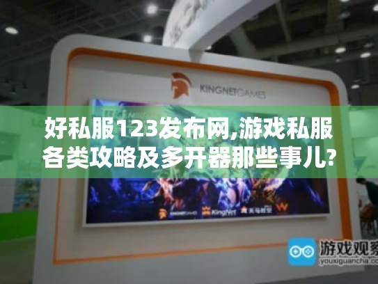 好私服123发布网,游戏私服各类攻略及多开器那些事儿?-玩家必看 好私服123发布网,游戏私服各类攻略及多开器那些事儿?-玩家必看