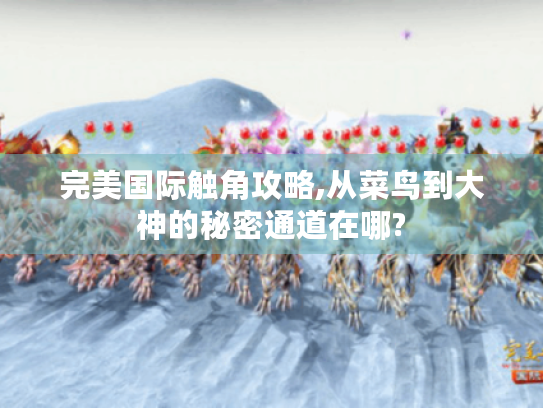 完美国际触角攻略,从菜鸟到大神的秘密通道在哪? 完美国际触角攻略,从菜鸟到大神的秘密通道在哪?