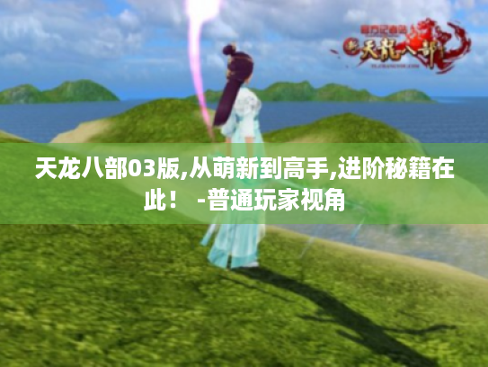 天龙八部03版,从萌新到高手,进阶秘籍在此! -普通玩家视角 天龙八部03版,从萌新到高手,进阶秘籍在此! -普通玩家视角