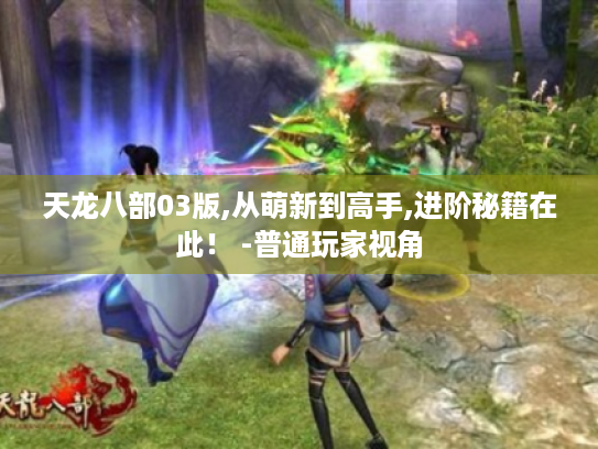 天龙八部03版,从萌新到高手,进阶秘籍在此! -普通玩家视角 天龙八部03版,从萌新到高手,进阶秘籍在此! -普通玩家视角