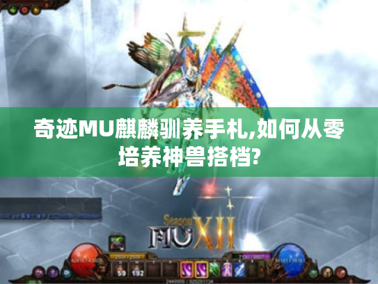 奇迹MU麒麟驯养手札,如何从零培养神兽搭档? 奇迹MU麒麟驯养手札,如何从零培养神兽搭档?