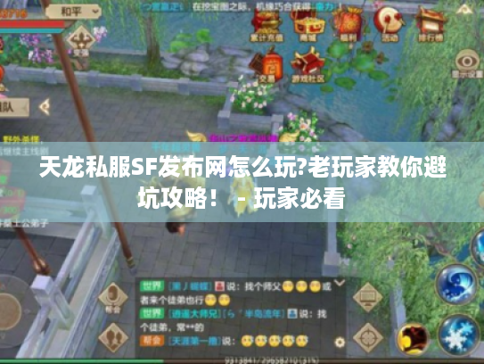 天龙私服SF发布网怎么玩?老玩家教你避坑攻略! - 玩家必看 天龙私服SF发布网怎么玩?老玩家教你避坑攻略! - 玩家必看