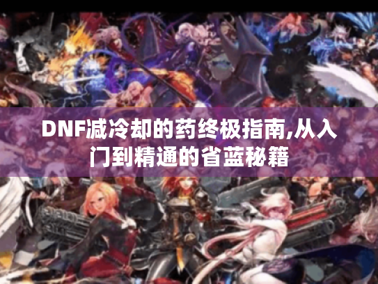 DNF减冷却的药终极指南,从入门到精通的省蓝秘籍 DNF减冷却的药终极指南,从入门到精通的省蓝秘籍