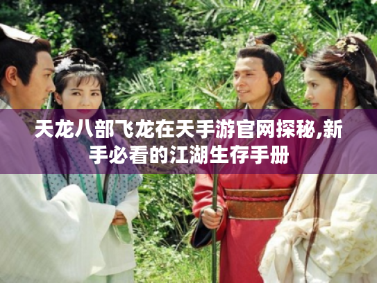 天龙八部飞龙在天手游官网探秘,新手必看的江湖生存手册