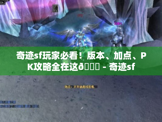 奇迹sf玩家必看!版本、加点、PK攻略全在这😜 - 奇迹sf 奇迹sf玩家必看!版本、加点、PK攻略全在这😜 - 奇迹sf