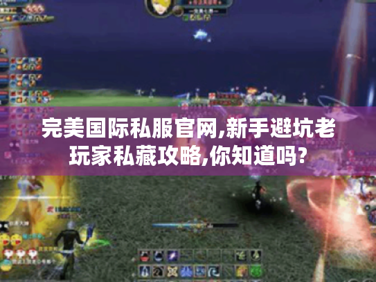 完美国际私服官网,新手避坑老玩家私藏攻略,你知道吗? 完美国际私服官网,新手避坑老玩家私藏攻略,你知道吗?