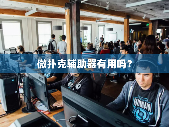 微扑克辅助器有用吗? 微扑克辅助器有用吗?
