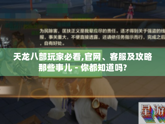 天龙八部玩家必看,官网、客服及攻略那些事儿 - 你都知道吗?