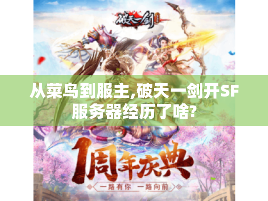 从菜鸟到服主,破天一剑开SF服务器经历了啥? 从菜鸟到服主,破天一剑开SF服务器经历了啥?