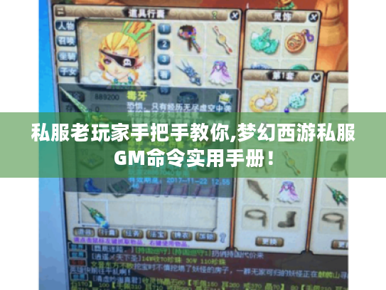 私服老玩家手把手教你,梦幻西游私服GM命令实用手册！