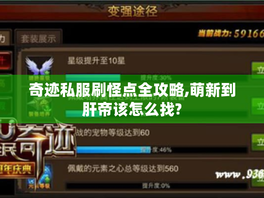 奇迹私服刷怪点全攻略,萌新到肝帝该怎么找? 奇迹私服刷怪点全攻略,萌新到肝帝该怎么找?