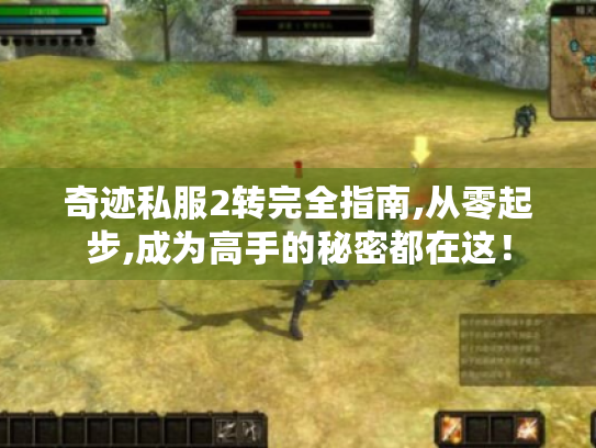 奇迹私服2转完全指南,从零起步,成为高手的秘密都在这! 奇迹私服2转完全指南,从零起步,成为高手的秘密都在这!