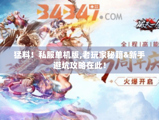 猛料!私服单机版,老玩家秘籍&新手避坑攻略在此! 猛料!私服单机版,老玩家秘籍&新手避坑攻略在此!