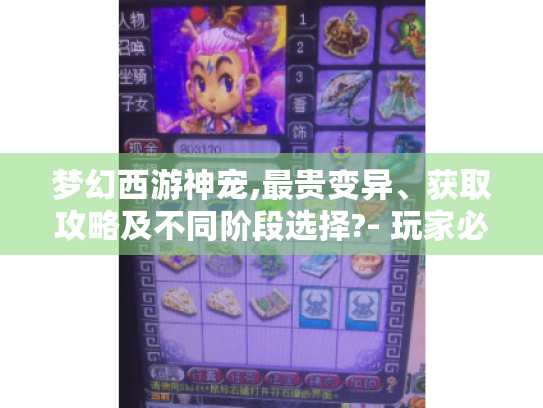 梦幻西游神宠,最贵变异、获取攻略及不同阶段选择?- 玩家必知! 梦幻西游神宠,最贵变异、获取攻略及不同阶段选择?- 玩家必知!