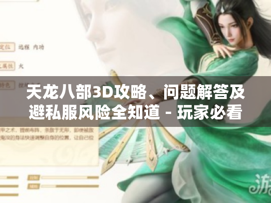 天龙八部3D攻略、问题解答及避私服风险全知道 - 玩家必看！