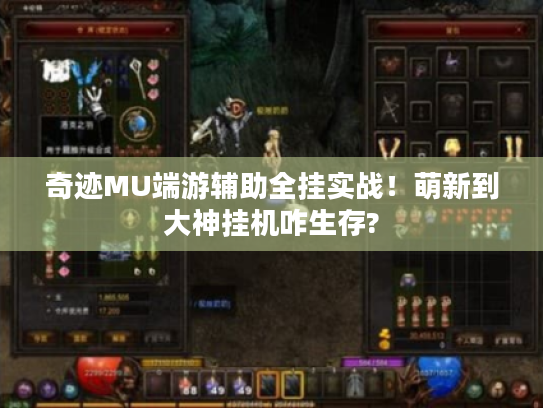 奇迹MU端游辅助全挂实战！萌新到大神挂机咋生存?