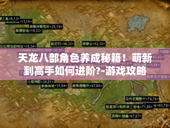 天龙八部角色养成秘籍!萌新到高手如何进阶?-游戏攻略 天龙八部角色养成秘籍!萌新到高手如何进阶?-游戏攻略