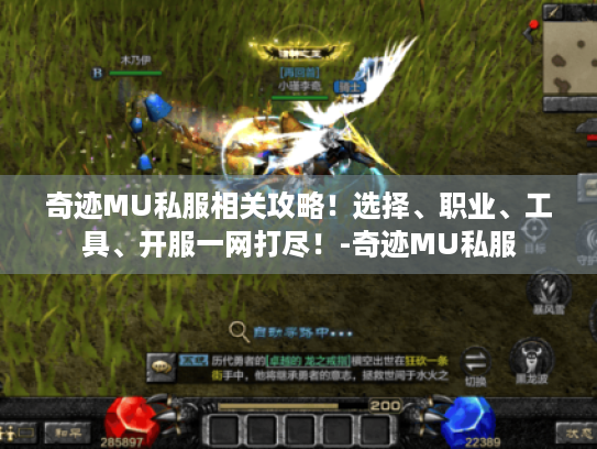 奇迹MU私服相关攻略!选择、职业、工具、开服一网打尽!-奇迹MU私服 奇迹MU私服相关攻略!选择、职业、工具、开服一网打尽!-奇迹MU私服