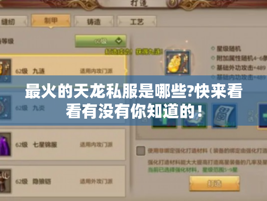 最火的天龙私服是哪些?快来看看有没有你知道的! 最火的天龙私服是哪些?快来看看有没有你知道的!