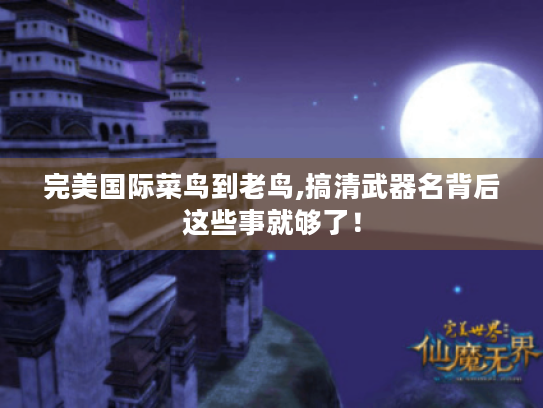 完美国际菜鸟到老鸟,搞清武器名背后这些事就够了! 完美国际菜鸟到老鸟,搞清武器名背后这些事就够了!