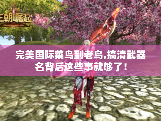 完美国际菜鸟到老鸟,搞清武器名背后这些事就够了! 完美国际菜鸟到老鸟,搞清武器名背后这些事就够了!