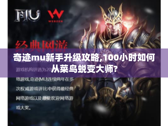 奇迹mu新手升级攻略,100小时如何从菜鸟蜕变大师?