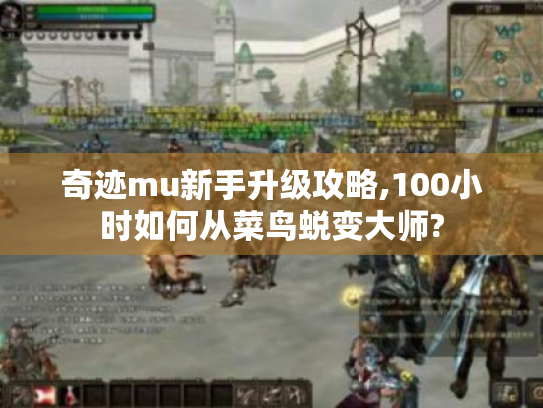 奇迹mu新手升级攻略,100小时如何从菜鸟蜕变大师?