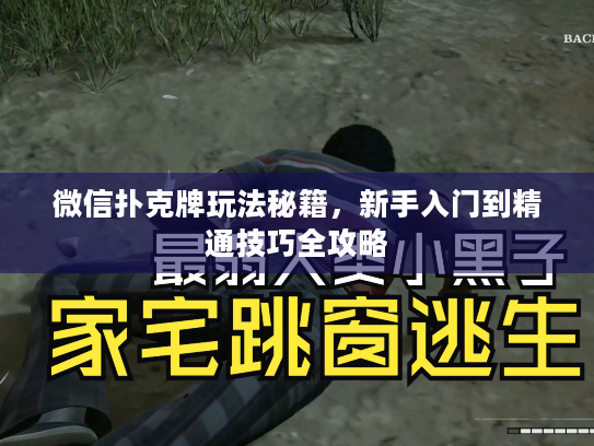 微信扑克牌玩法秘籍,新手入门到精通技巧全攻略 微信扑克牌玩法秘籍,新手入门到精通技巧全攻略