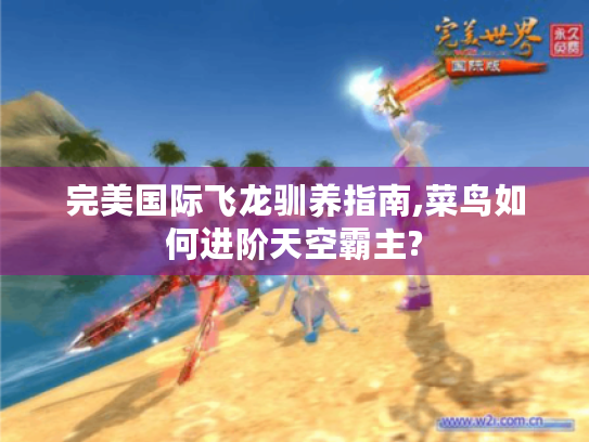 完美国际飞龙驯养指南,菜鸟如何进阶天空霸主? 完美国际飞龙驯养指南,菜鸟如何进阶天空霸主?