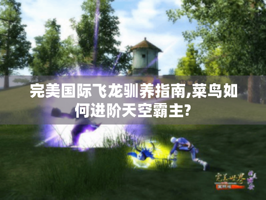 完美国际飞龙驯养指南,菜鸟如何进阶天空霸主? 完美国际飞龙驯养指南,菜鸟如何进阶天空霸主?