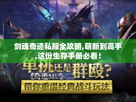 剑魂奇迹私服全攻略,萌新到高手,这份生存手册必看! 剑魂奇迹私服全攻略,萌新到高手,这份生存手册必看!