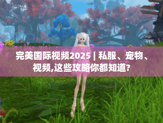 完美国际视频2025 | 私服、宠物、视频,这些攻略你都知道? 完美国际视频2025 | 私服、宠物、视频,这些攻略你都知道?