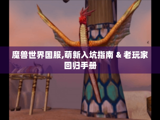 魔兽世界国服,萌新入坑指南 & 老玩家回归手册 魔兽世界国服,萌新入坑指南 & 老玩家回归手册