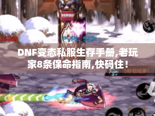 DNF变态私服生存手册,老玩家8条保命指南,快码住! DNF变态私服生存手册,老玩家8条保命指南,快码住!