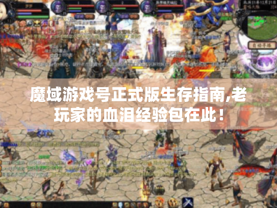 魔域游戏号正式版生存指南,老玩家的血泪经验包在此! 魔域游戏号正式版生存指南,老玩家的血泪经验包在此!