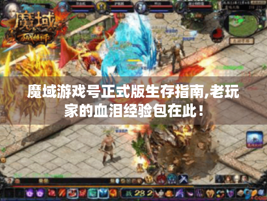 魔域游戏号正式版生存指南,老玩家的血泪经验包在此! 魔域游戏号正式版生存指南,老玩家的血泪经验包在此!