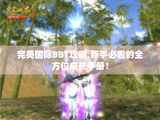 完美国际BBT攻略,新手必看的全方位成长手册! 完美国际BBT攻略,新手必看的全方位成长手册!