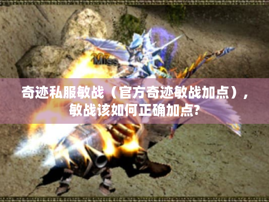 奇迹私服敏战(官方奇迹敏战加点),敏战该如何正确加点? 奇迹私服敏战(官方奇迹敏战加点),敏战该如何正确加点?