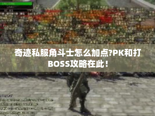 奇迹私服角斗士怎么加点?PK和打BOSS攻略在此! 奇迹私服角斗士怎么加点?PK和打BOSS攻略在此!